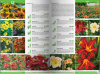 KATALOG BYLIN II Kwiaty, trawy i paprocie